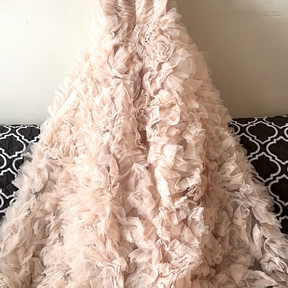 Georgina Chapman Gown, peach color
tube fluffy gown.